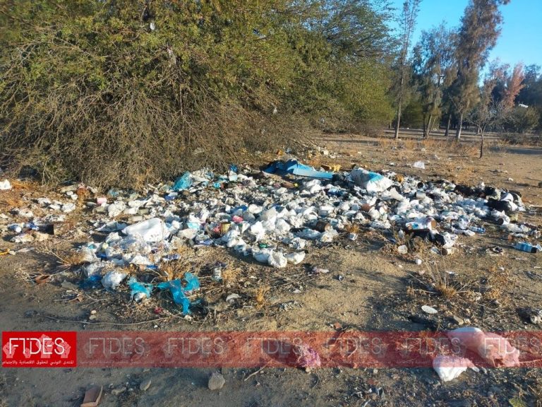 (Français) Crise de la gestion des déchets  Quels moyens pour sortir du goulot d’étranglement